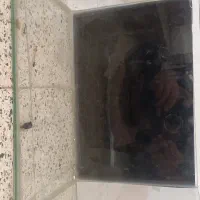 آکواریوم شیشه خم با اجناس نو