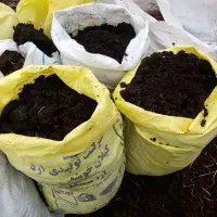 علفتراشی با دستگاه ،هرس، سمپاشی درخت وگل،باغبان،|خدمات باغبانی و درختکاری|سیاهکل, |دیوار