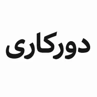 وردپرس کار حرفه ای