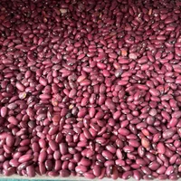 پخش حبوبات عمده ب (مستقیم از کشاورز خرید کنید)