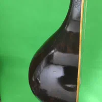 سه تار برند افتخاری .کاسه یک تکه وترکه ای