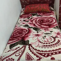 تخت یک نفره هایگلاس