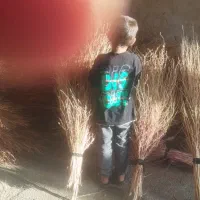 جارو شیرازی