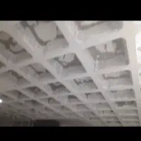جذب نیروی نقاش ساختمان