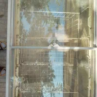 فریزر بستنی