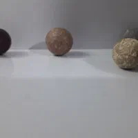 تیله یا توشله سنگی