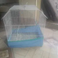 قفس پرنده در حد نو ۴۰۰