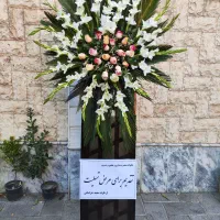 پایه گل/ تاج گل/ ترحیم تسلیت/ استند|گل و گیاه طبیعی|مشهد, فرهنگیان (شهرک غرب)|دیوار