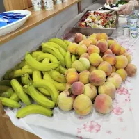 کاروان طریق الحسین،مشهد،۲ آذر قیمت ۲۸۰۰|تور و چارتر|خرم‌آباد, |دیوار