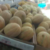 استخدام