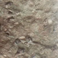 شهاب سنگ مریخی اصل کانی ماسکلینت توی سنگ مشهود|جواهرات|تهران, استاد معین|دیوار