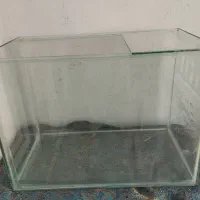 آکواریوم بزرگ و سالم|ماهی|پردیس, فاز ۱۱|دیوار