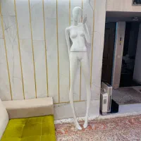 فروش ۲ عدد مانکن