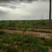 فروش زمین کشاورزی|فروش دفتر صنعتی، کشاورزی، تجاری|چناران, |دیوار