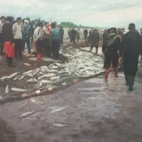 تابلو نقاشی از استاد علی محمدحیدریان