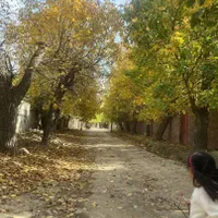 رهن و اجاره باغ ویلا شهمیرزاد