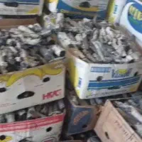 زغال پسته مرغوب کرمان با سوخت 2+ ساعت