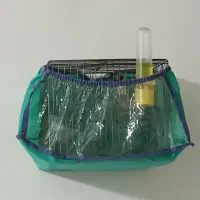 سهره باغی مست