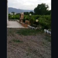 پیاده روی همراه