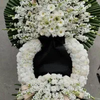 تحویل فوری گلها طبیعی تسلیت تاج جام ترحیم وختم عزا|گل و گیاه طبیعی|تهران, دردشت|دیوار