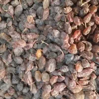 کشمش آفتابی 225|خوردنی و آشامیدنی|ملایر, |دیوار