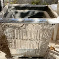 گلدان/گل/گیاه/درختچه