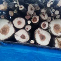 هرس کردن درختان وخرید چوب درهمه مکان