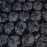 باقله و لوبیا و زغال موجوده