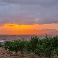 باغ جاده قدیم
