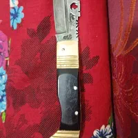 سایر