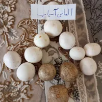 سنگ الماس اسیاب تعداد بالا|جواهرات|اسلام‌شهر, |دیوار