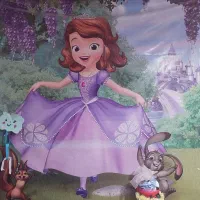 بنر تولد تم سوفیا ۹۵۰ تومن