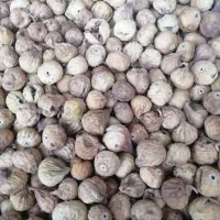 انجیر|خوردنی و آشامیدنی|شیراز, شهرک مدرس|دیوار