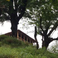 اجاره کلبه جنگلی|اجارهٔ کوتاهمدت ویلا و باغ|املش, |دیوار