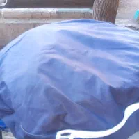 چادرمسافرتی۸نفره سالم