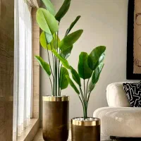 گلدان(نظافت منزل انجام میدم