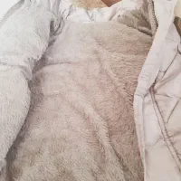 کاپشن پسرانه|کفش و لباس بچه|ماهیدشت, |دیوار