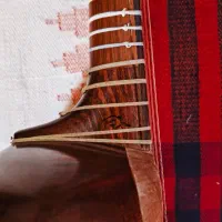 تار حرفه ای خوش صدا ساخت استاد ارام|سازهای سنتی|شیراز, دکتر حسابی|دیوار