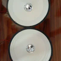 میدرنج سایز ۸