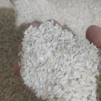 برنج اصل شوشتر درجه یک