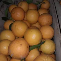 فروش تناژی تامسون