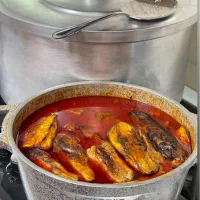 غذای باکیفیت خانگی