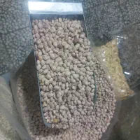 لوبیا چیتی خوشپخت نوبرانه