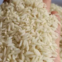 فروش برنج ایرانی درجه یک