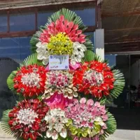 گلکده ارکیده|حراج|اصفهان, مرداویج|دیوار