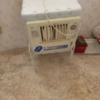 شخصی|مبلمان خانگی و میز عسلی|سنندج, |دیوار