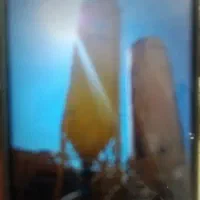 سیلوی سیمان