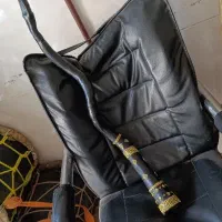 دمام شیپور شاخ. وسنچ. و طرح شاخ
