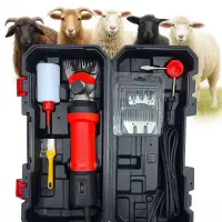 پشم چین گوسفندی