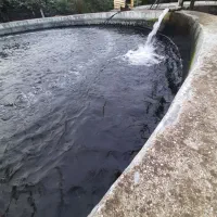 فروش ملک استخر ماهی